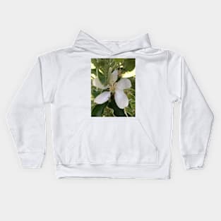 Apple Blossom (white) Kids Hoodie